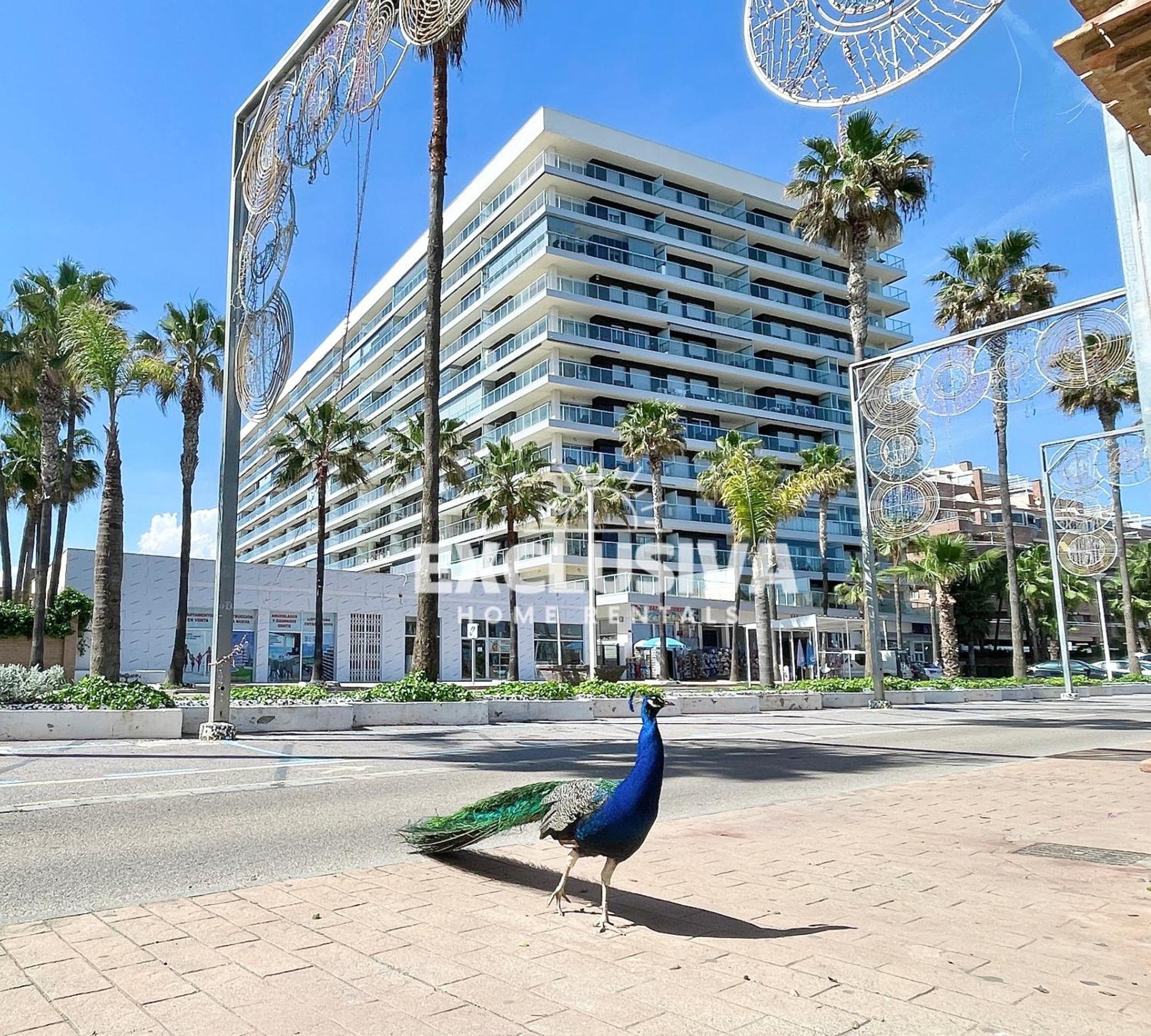 Apartamento Albamarina, 1ªlinea, Magic World, Vistas Al Mar! Oropesa del Mar Eksteriør bilde